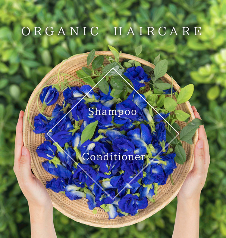ORGANIC HAIRCARE shampoo conditioner